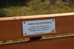 RCKiK Katowice - ławeczka krwiodawcy