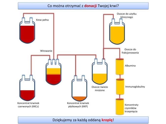 co-otrzymujemy-z-krwi